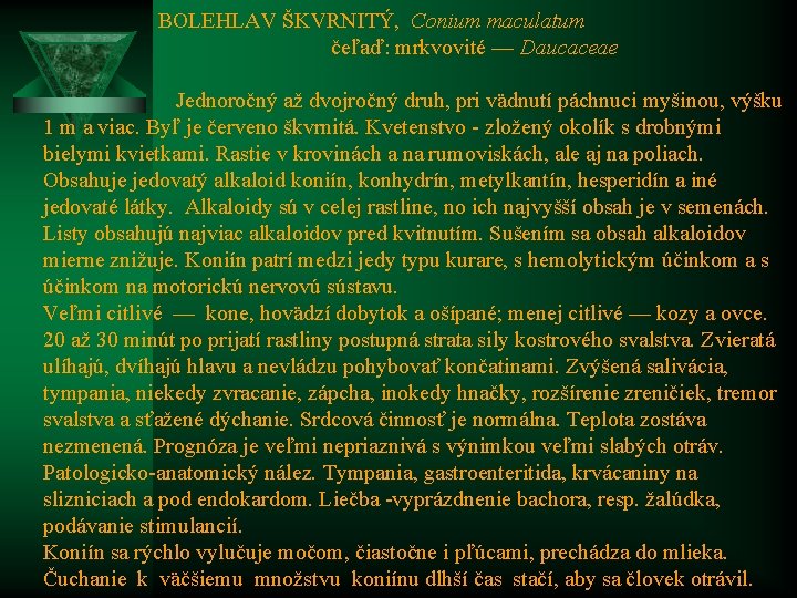  BOLEHLAV ŠKVRNITÝ, Conium maculatum čeľaď: mrkvovité — Daucaceae Jednoročný až dvojročný druh, pri