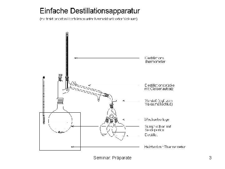 Seminar: Präparate 3 