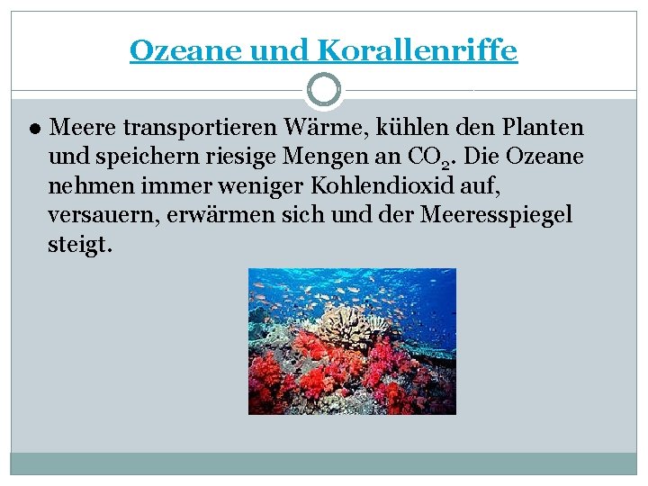 Ozeane und Korallenriffe ● Meere transportieren Wärme, kühlen den Planten und speichern riesige Mengen