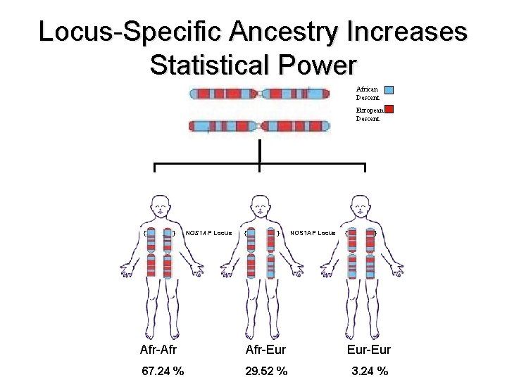Locus-Specific Ancestry Increases Locus-specific Statistical Power ancestry African Descent European Descent { } NOS
