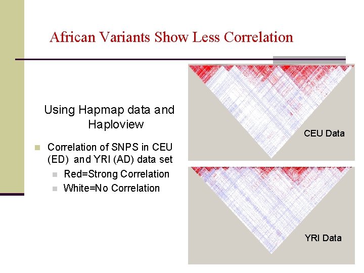 African Variants Show Less Correlation Using Hapmap data and Haploview CEU Data n Correlation