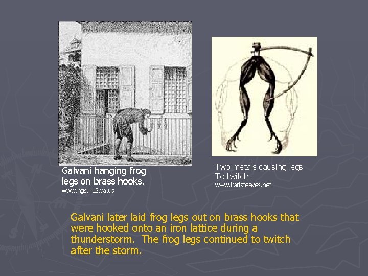 Galvani hanging frog legs on brass hooks. www. hgs. k 12. va. us Two