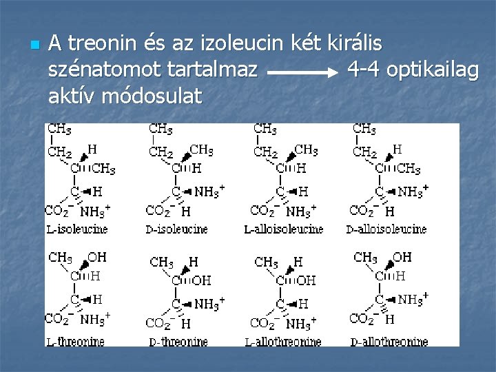 n A treonin és az izoleucin két királis szénatomot tartalmaz 4 -4 optikailag aktív