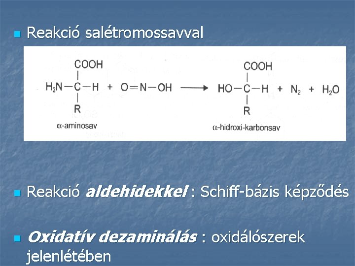 n Reakció salétromossavval n Reakció aldehidekkel : Schiff-bázis képződés n Oxidatív dezaminálás : oxidálószerek