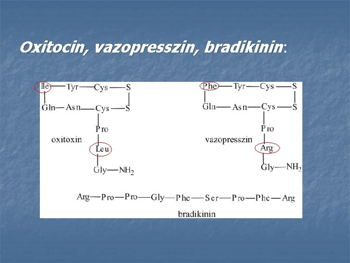 Oxitocin, vazopresszin, bradikinin: 