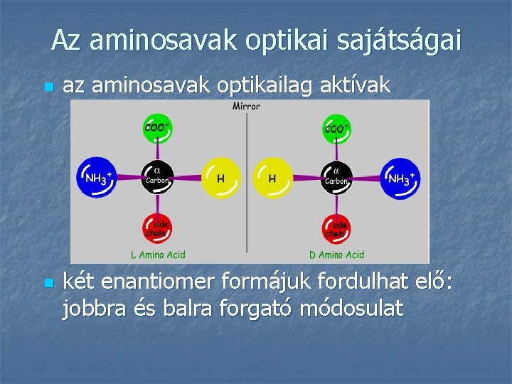 Az aminosavak optikai sajátságai n n az aminosavak optikailag aktívak két enantiomer formájuk fordulhat
