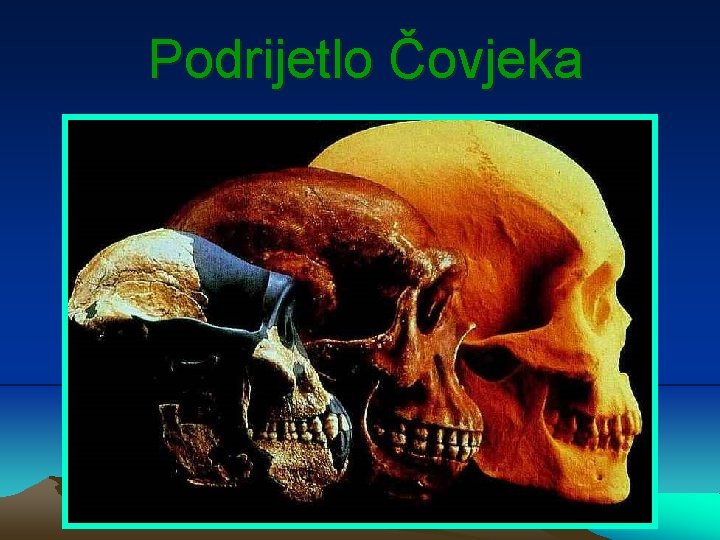 Podrijetlo Čovjeka 
