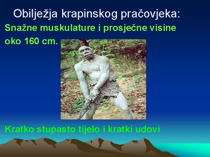 Obilježja krapinskog pračovjeka: Snažne muskulature i prosječne visine oko 160 cm. Kratko stupasto tijelo