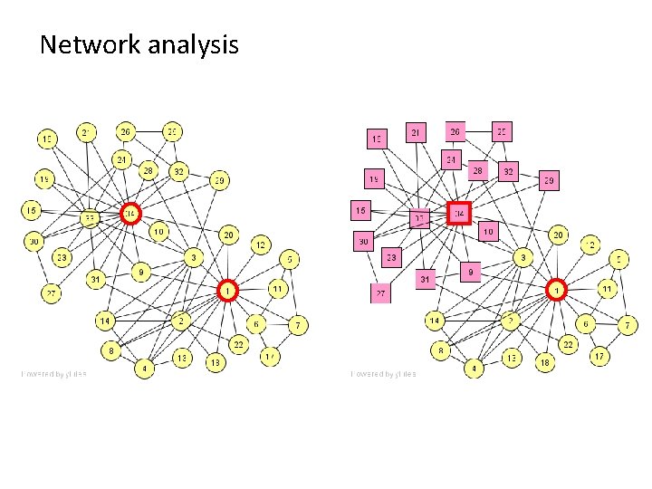 Network analysis 