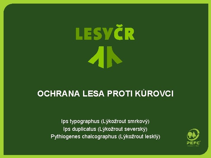 OCHRANA LESA PROTI KŮROVCI Ips typographus (Lýkožrout smrkový) Ips duplicatus (Lýkožrout severský) Pythiogenes chalcographus