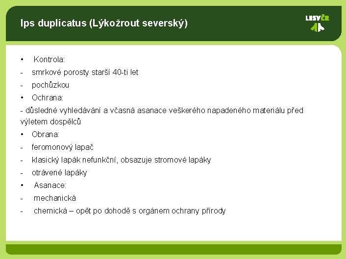 Ips duplicatus (Lýkožrout severský) • Kontrola: - smrkové porosty starší 40 -ti let -