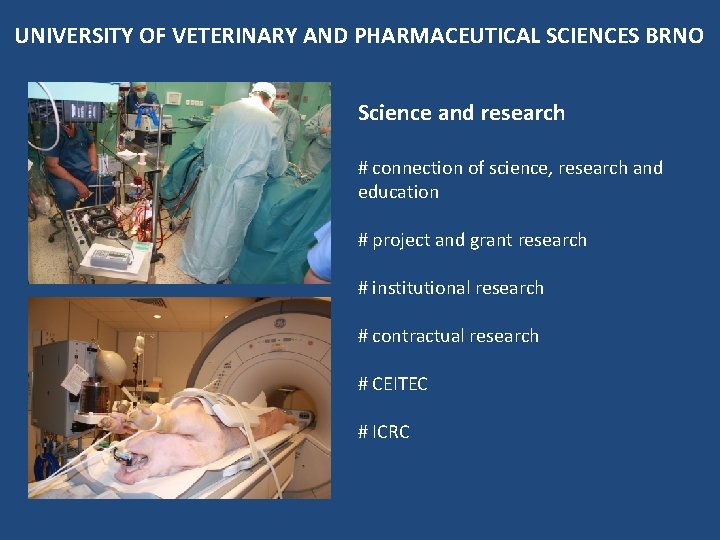 UNIVERSITY OF VETERINARY AND PHARMACEUTICAL SCIENCES BRNO Science and research # connection of science,