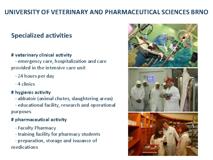 UNIVERSITY OF VETERINARY AND PHARMACEUTICAL SCIENCES BRNO Specialized activities # veterinary clinical activity -