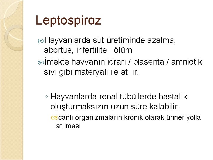 Leptospiroz Hayvanlarda süt üretiminde azalma, abortus, infertilite, ölüm İnfekte hayvanın idrarı / plasenta /