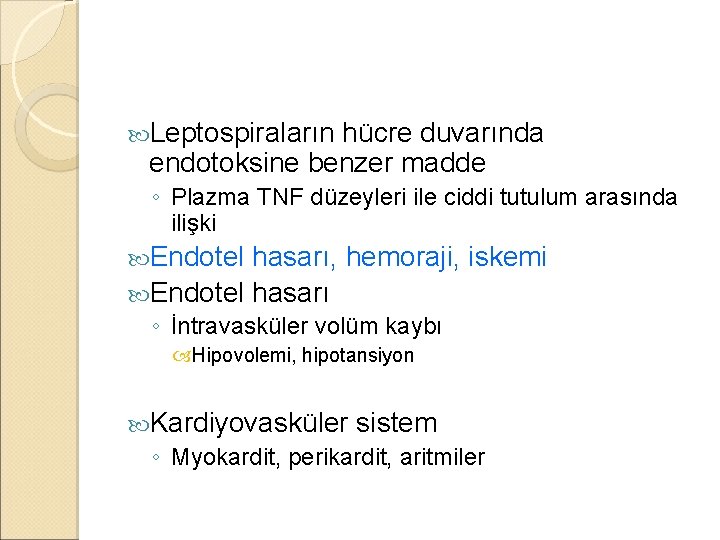  Leptospiraların hücre duvarında endotoksine benzer madde ◦ Plazma TNF düzeyleri ile ciddi tutulum