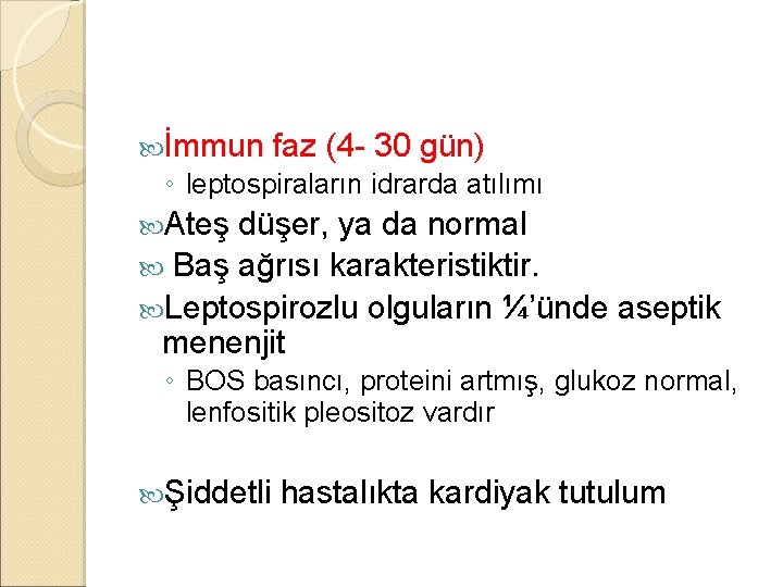  İmmun faz (4 - 30 gün) ◦ leptospiraların idrarda atılımı Ateş düşer, ya