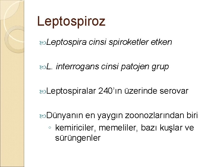 Leptospiroz Leptospira L. cinsi spiroketler etken interrogans cinsi patojen grup Leptospiralar Dünyanın 240’ın üzerinde