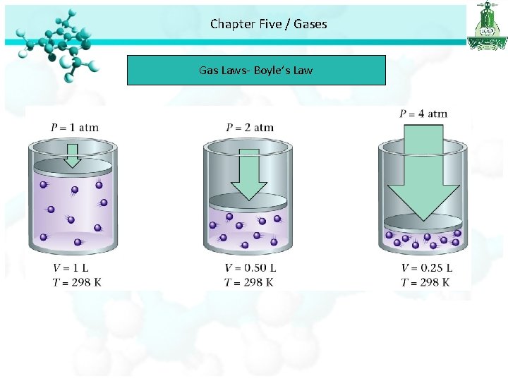 Chapter Five / Gases Gas Laws- Boyle’s Law 