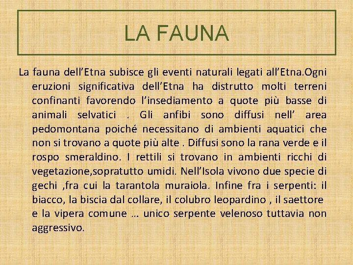 LA FAUNA La fauna dell’Etna subisce gli eventi naturali legati all’Etna. Ogni eruzioni significativa LA FAUNA La fauna dell’Etna subisce gli eventi naturali legati all’Etna. Ogni eruzioni significativa