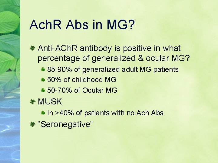 Ach. R Abs in MG? Anti-ACh. R antibody is positive in what percentage of