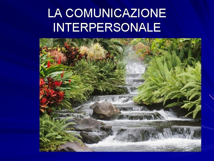 LA COMUNICAZIONE INTERPERSONALE LA COMUNICAZIONE INTERPERSONALE