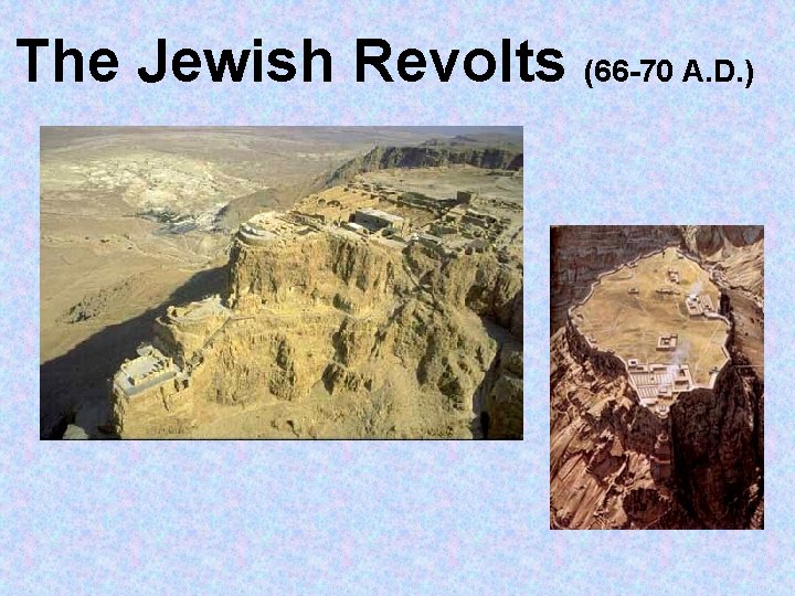 The Jewish Revolts (66 -70 A. D. ) 