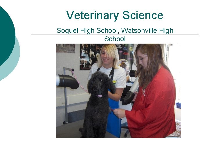 Veterinary Science Soquel High School, Watsonville High School 