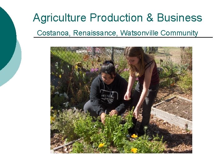 Agriculture Production & Business Costanoa, Renaissance, Watsonville Community 