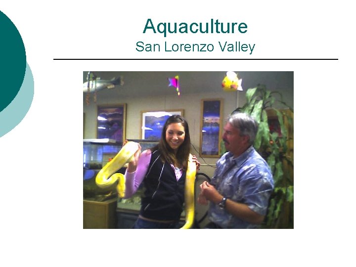 Aquaculture San Lorenzo Valley 