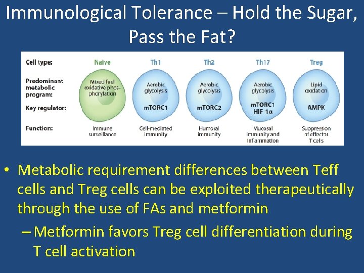 Immunological Tolerance – Hold the Sugar, Pass the Fat? • Metabolic requirement differences between