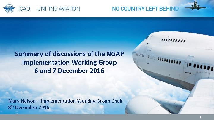 Summary of discussions of the NGAP Implementation Working Group 6 and 7 December 2016 Summary of discussions of the NGAP Implementation Working Group 6 and 7 December 2016