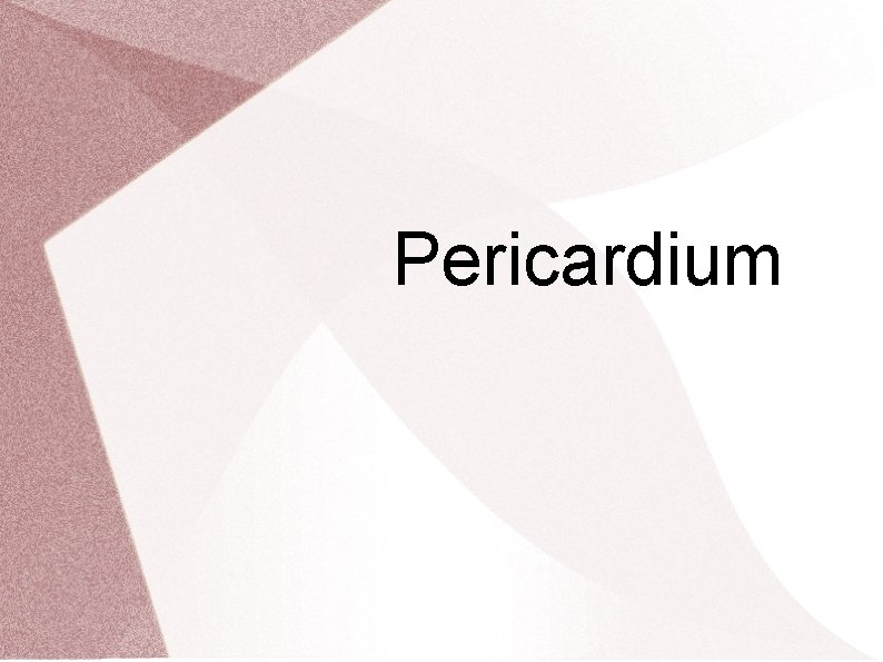 Pericardium 