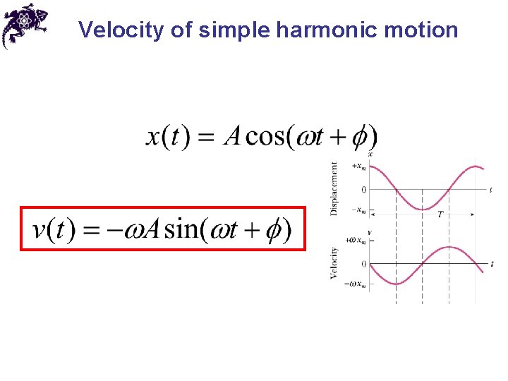 Velocity of simple harmonic motion 