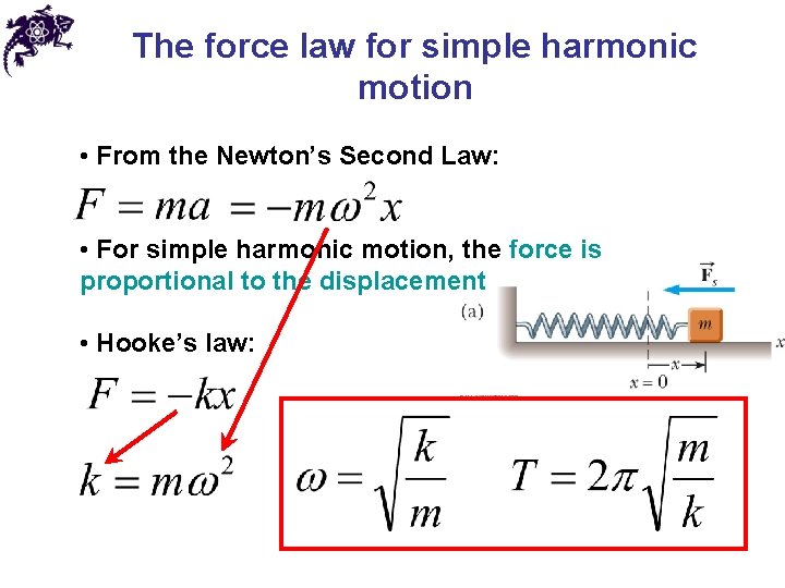 The force law for simple harmonic motion • From the Newton’s Second Law: •