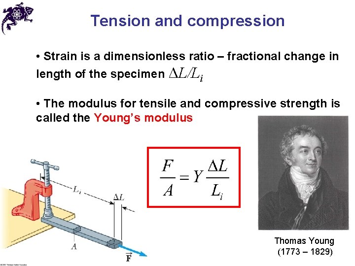Tension and compression • Strain is a dimensionless ratio – fractional change in length
