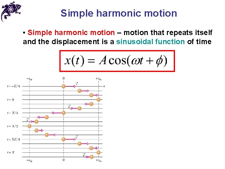 Simple harmonic motion • Simple harmonic motion – motion that repeats itself and the