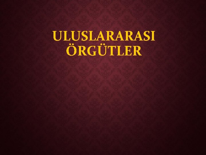 ULUSLARARASI ÖRGÜTLER 
