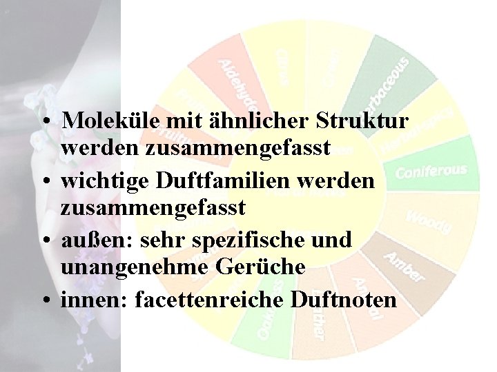  • Moleküle mit ähnlicher Struktur werden zusammengefasst • wichtige Duftfamilien werden zusammengefasst •