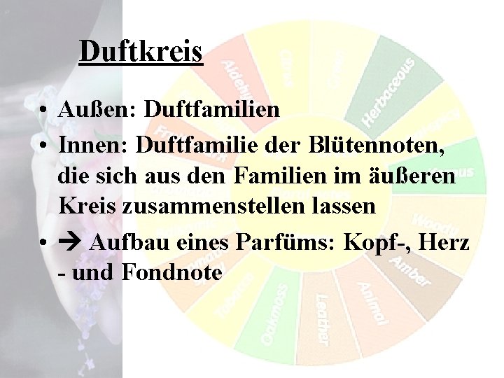 Duftkreis • Außen: Duftfamilien • Innen: Duftfamilie der Blütennoten, die sich aus den Familien