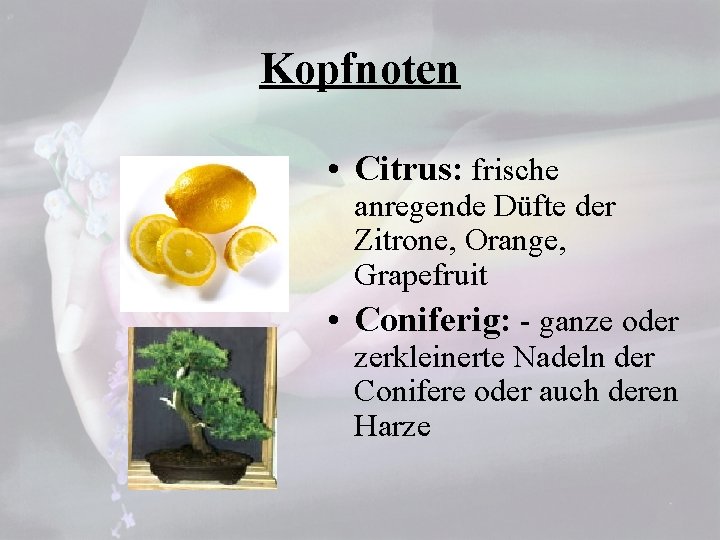 Kopfnoten • Citrus: frische anregende Düfte der Zitrone, Orange, Grapefruit • Coniferig: - ganze