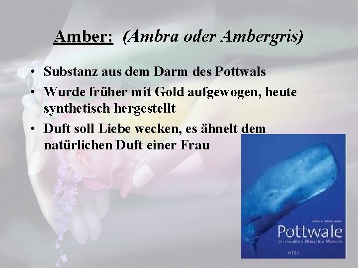 Amber: (Ambra oder Ambergris) • Substanz aus dem Darm des Pottwals • Wurde früher