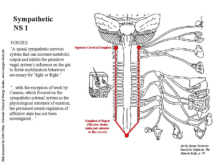Slide prepared by John Chitty, Colorado School of Energy Studies, www. energyschool. com Sympathetic