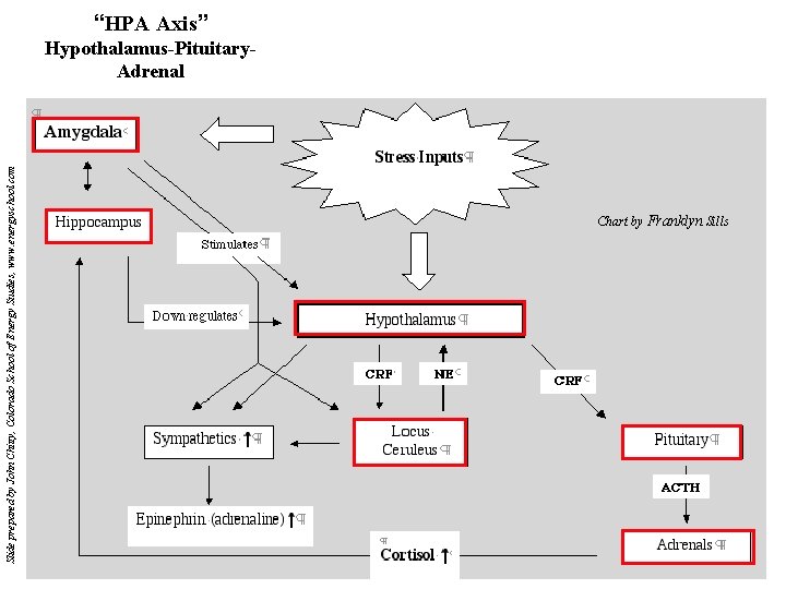 Slide prepared by John Chitty, Colorado School of Energy Studies, www. energyschool. com “HPA