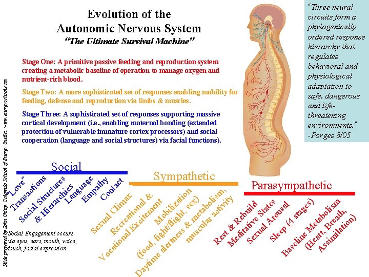 Evolution of the Autonomic Nervous System Stage One: A primitive passive feeding and reproduction