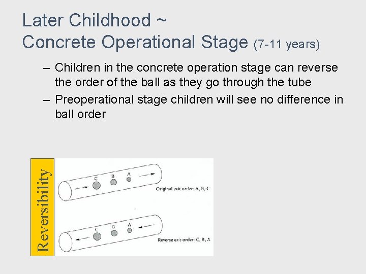 Later Childhood ~ Concrete Operational Stage (7 -11 years) Reversibility – Children in the Later Childhood ~ Concrete Operational Stage (7 -11 years) Reversibility – Children in the