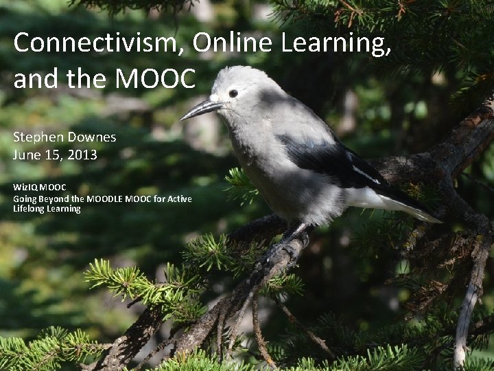 Connectivism, Online Learning, and the MOOC Stephen Downes June 15, 2013 Wiz. IQ MOOC