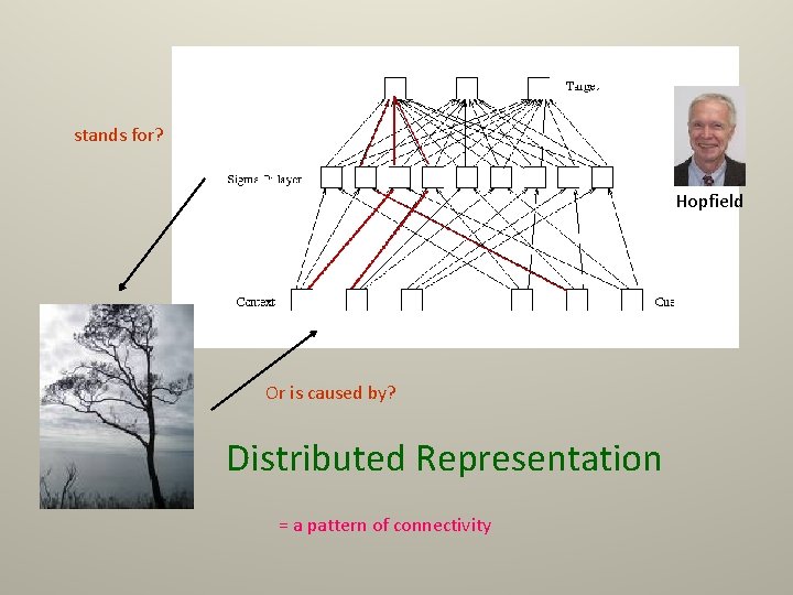 stands for? Hopfield Or is caused by? Distributed Representation = a pattern of connectivity