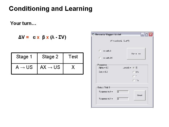 Conditioning and Learning Your turn… ΔV = α x β x (λ - ΣV)