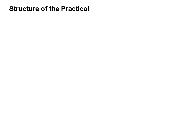 Structure of the Practical Week 1: Introduction to the topic, background information Homework: Reading