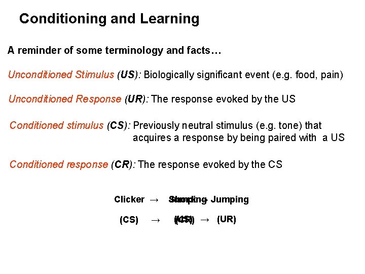 Conditioning and Learning A reminder of some terminology and facts… Unconditioned Stimulus (US): Biologically